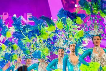 Concurso de maquillaje corporal del Carnaval de Las Palmas de GC (Foto Antonio Rico)
